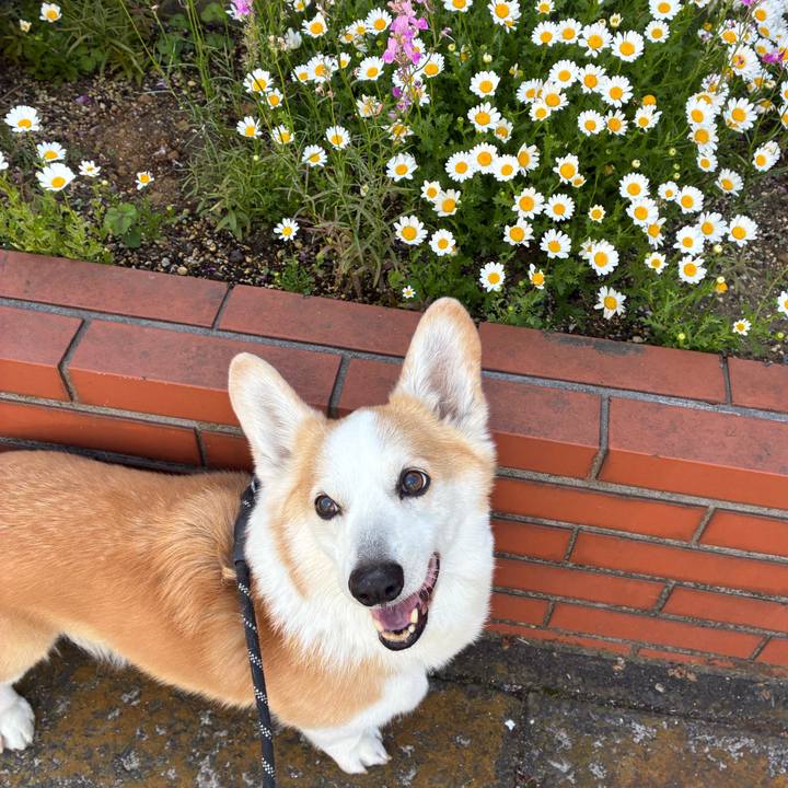 C3b2c3c0 190f 4e44 aa24 67d9a7339c3c 1776826464743