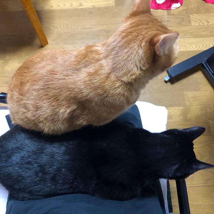 C3b2c562 644a 4d8f 9a1d 6f9bd25c553d 1702727529203