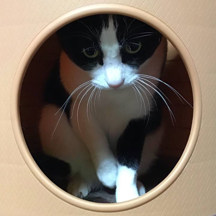 C3b2f2b5 7084 407f a45f 5d90a96b0569 1735984476524