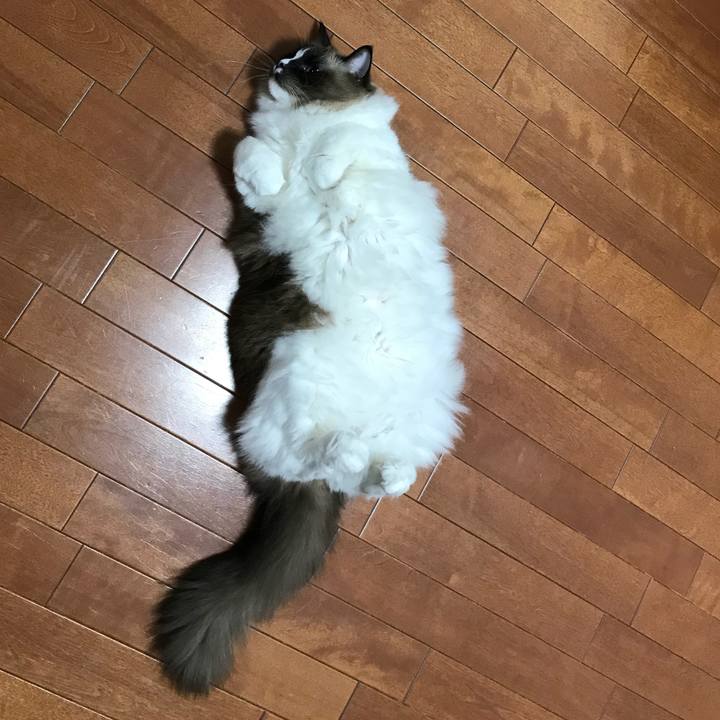 C3b313c1 c22c 466c 8571 10b51e9351f8 1513394640516