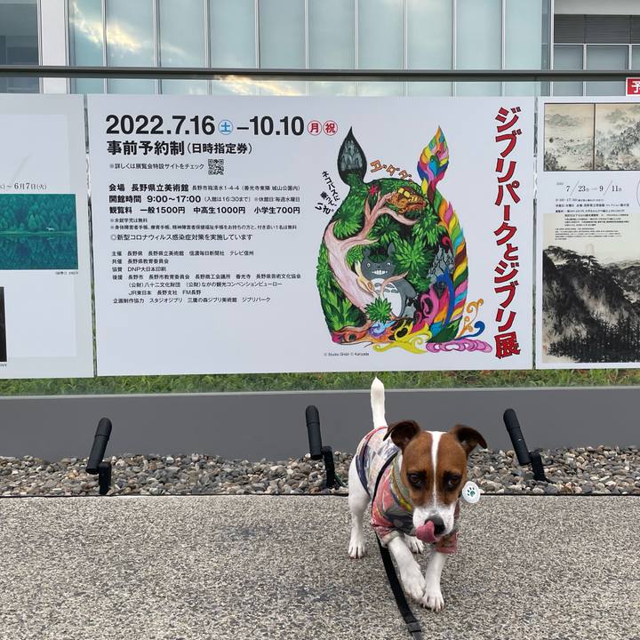 C3b319a3 2b8a 4be6 89b3 2e0a778e17b1 1658488460183