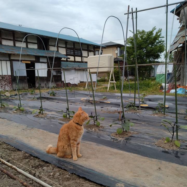 C3b342a6 2a8b 426e b732 86ea562bdb7d 1715765563253