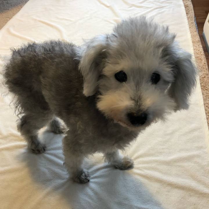 C3b3946f 42c9 491e b35b 9e32659da4d7 1637284054818