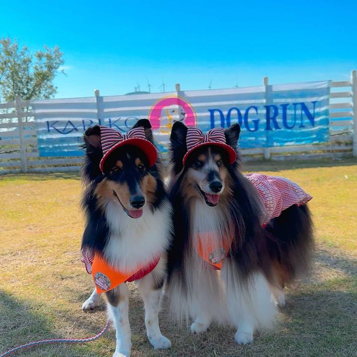 C3b3c3b5 24ed 4425 8628 eca03554b5a7 1763322690832