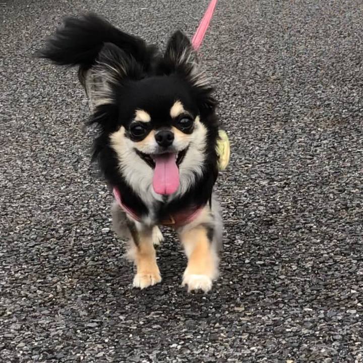 C3b40105 a3be 40be 8fcc 19df2fcde464 1594538123917