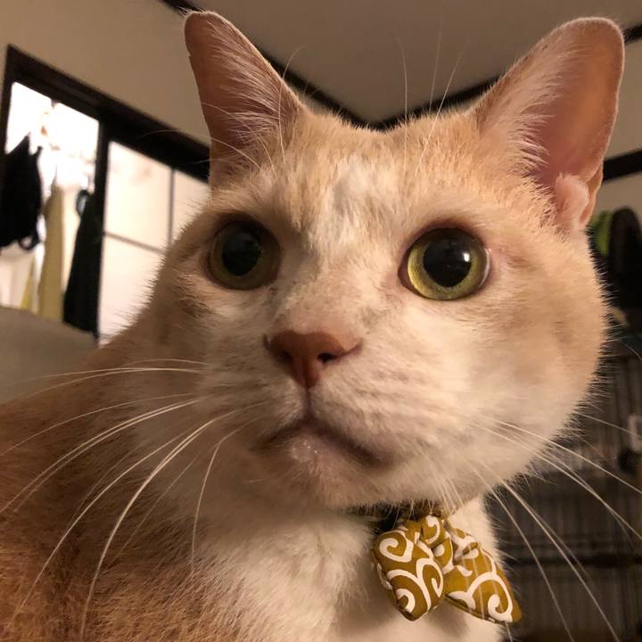 C3b43623 e997 4bce a1ea a299ffada173 1575893509909