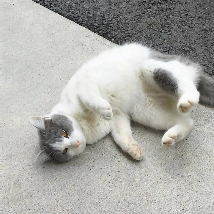 C3b454e6 6b07 427f 83bb b9f6894d44be 1511672249952