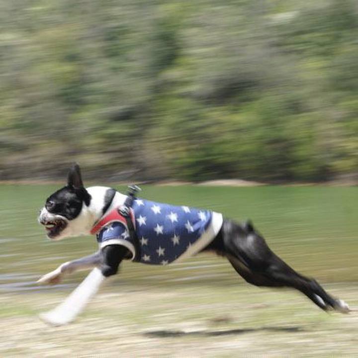 C3b46025 7a1e 42ac bf0c f4addb607ce2 1524217899796