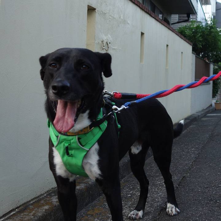 C3b4782b c709 4e20 86d1 a033a54a0f61 1591787222699