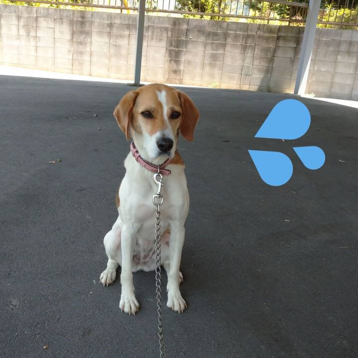 C3b49942 a1db 42c8 9fea c4880a207579 1592283810763