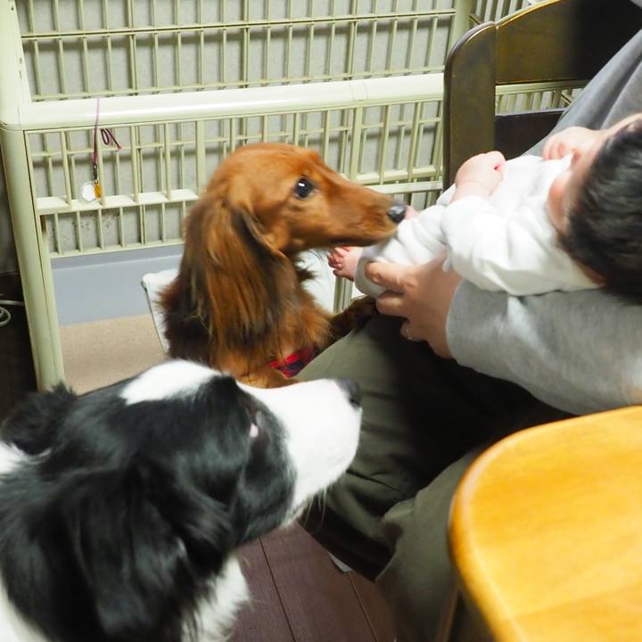 C3b4d984 b103 4dc7 8296 824b4240c4dd 1770042087736