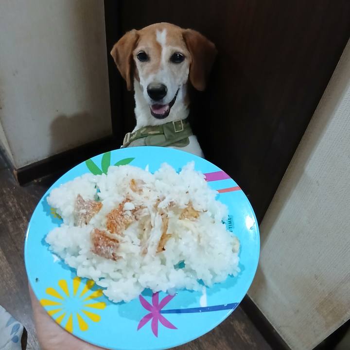 C3b4e59b e3f8 475d b4d8 c6d73b3c539a 1751974268088