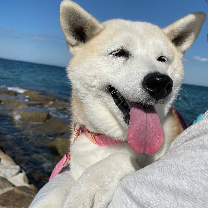 C3b5241c e386 450a be9e f9339f226b16 1636327280264