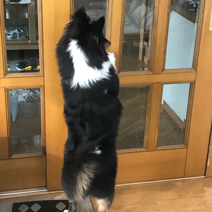 C3b58654 a4c8 4fee 9e4d f9814a898ef4 1525211436705