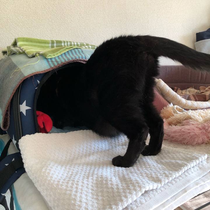 C3b5a6dd abec 4b59 b25f 29bb674f08c0 1630362840283