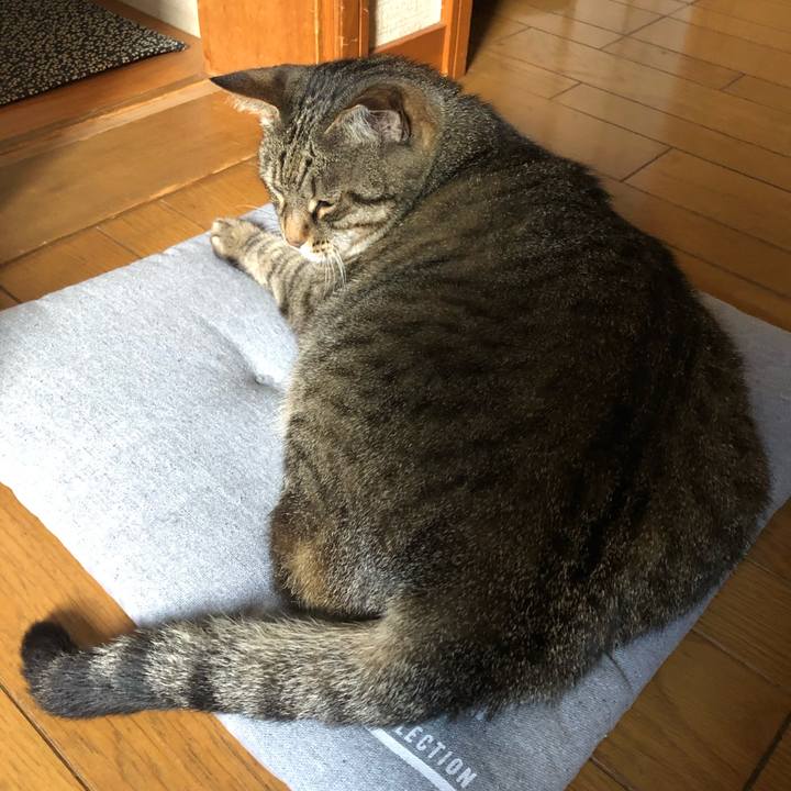 C3b5aab2 927d 46db b60a 2ef66a5339b4 1593946375485