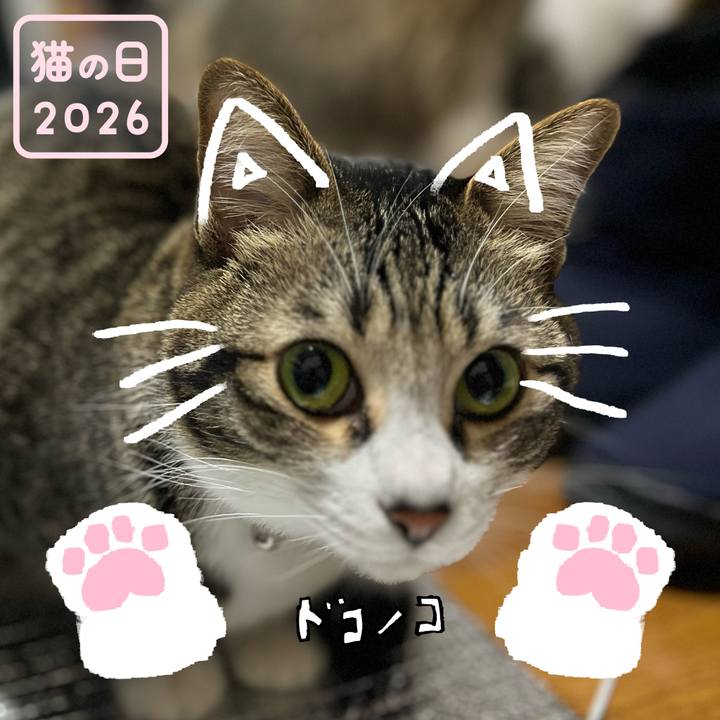 C3b5bd55 c849 4214 8819 b9eb4a26b8e3 1771722480017