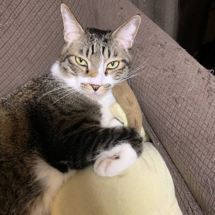 C3b5d25a 4d6f 4e86 8679 cf85ad458fea 1578653746930