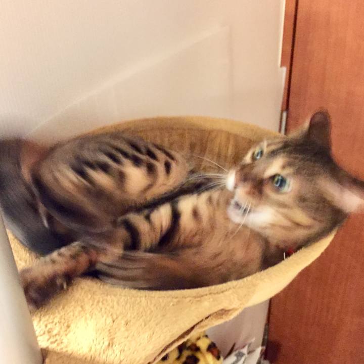 C3b6010b 6c53 4a13 ad17 3050d64cc605 1526254410525