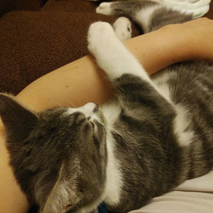 C3b607a0 47df 4c85 84b7 6c60ab6827c0 1567784549162