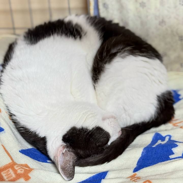 C3b60c05 a503 47fa b899 a644e687750e 1732155380256