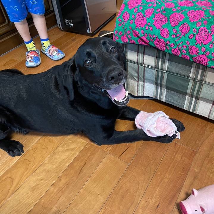 C3b6342e 899b 4c97 89e3 9984d41d249c 1694818992887