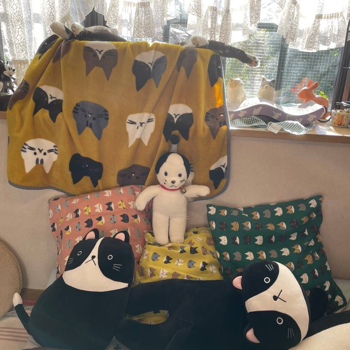 C3b678ab 5497 4d9c b03f 5436199e4839 1650182289653