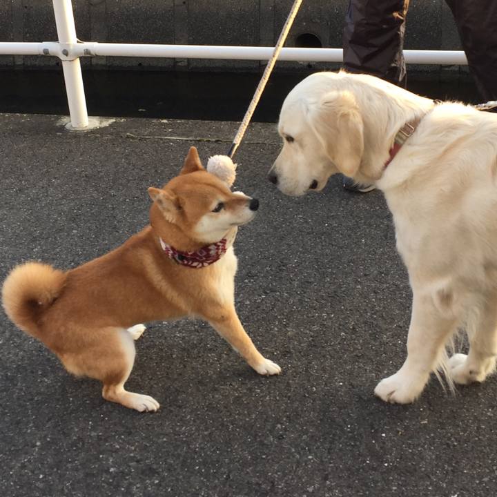 C3b7097f d39b 485a 86f6 c788a548610b 1518400901436