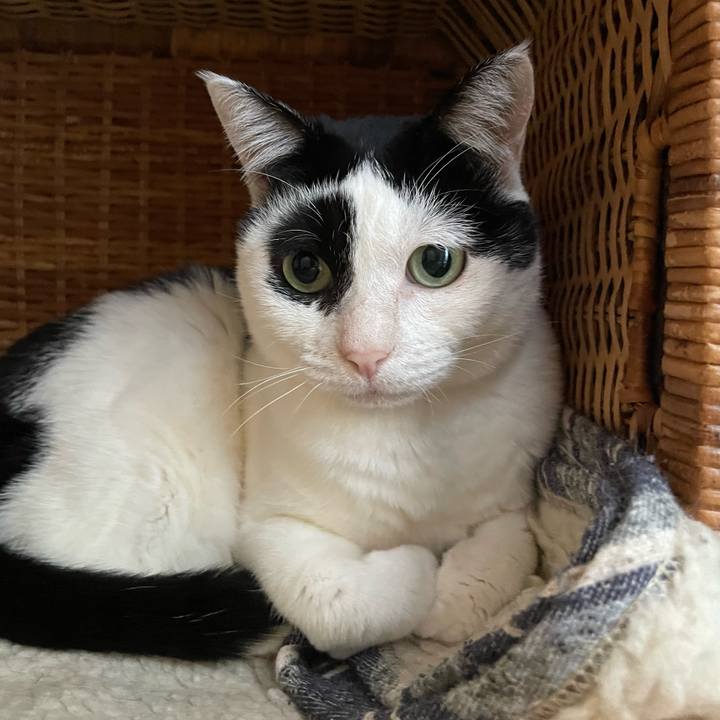 C3b71879 4c34 4dba b3b9 7f89145ba5a3 1642917461954