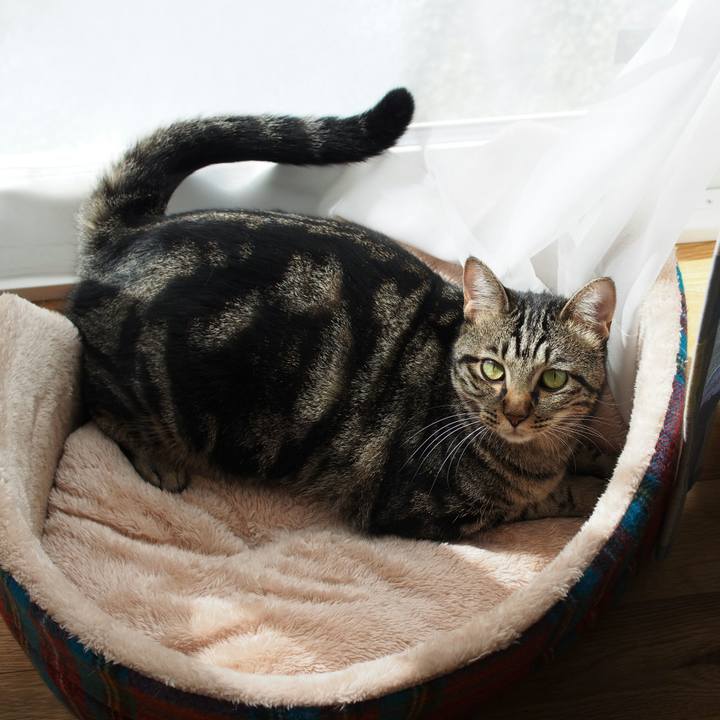 C3b73cc9 1eea 4eda 8798 719c886d13ab 1538538318853