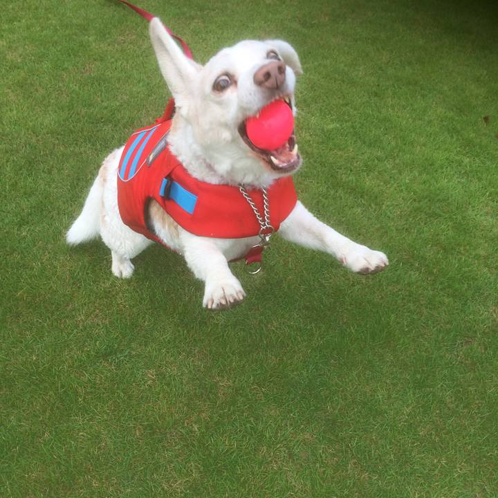 C3b7504e cb32 498b b0a7 4a55491c8fbb 1533998768021