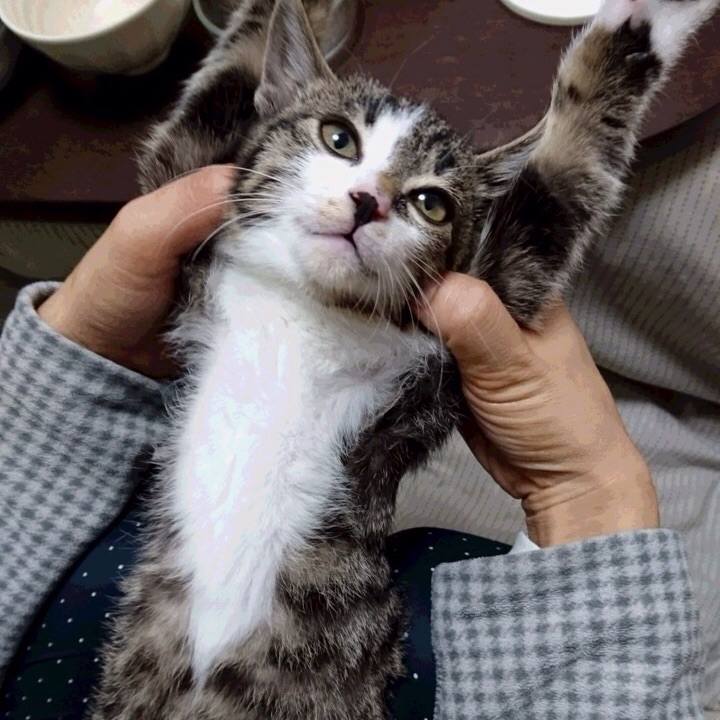 C3b78318 5c0d 4b25 ac1a 2fcec2449cd6 1514324275136