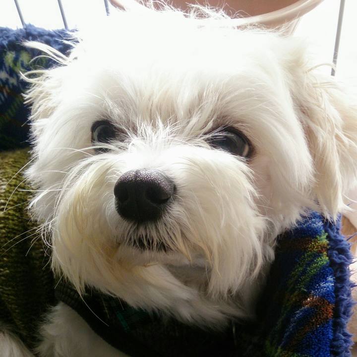 C3b7b7b4 c5b4 4f25 95cd 63d5f9b34179 1512357060873