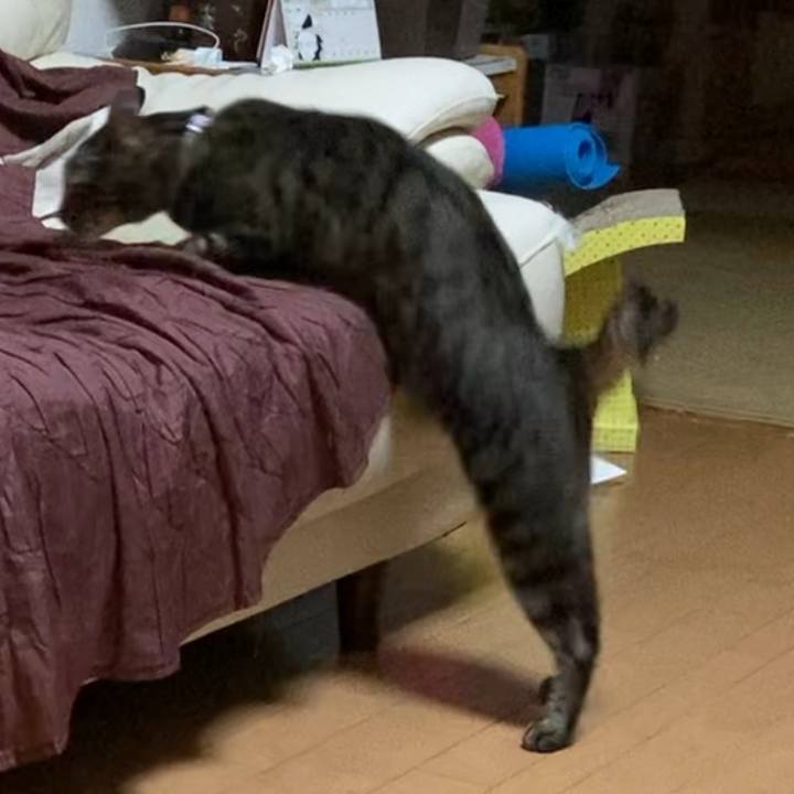 C3b7f26b 0bcc 457d 83a1 9a49b0d8110b 1620655253739