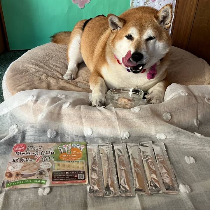 C3b83dfa dfd7 4a83 b07b 0ab58782d073 1650510385509