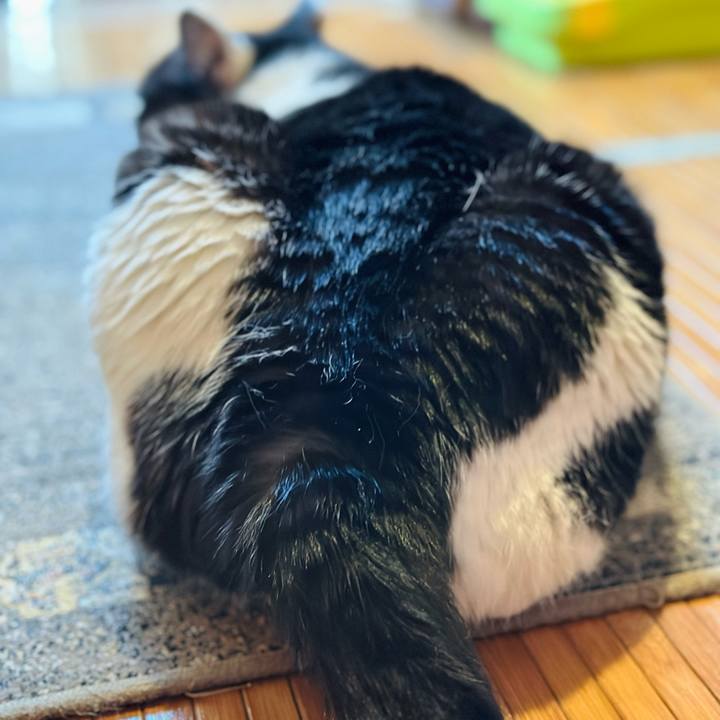 C3b85304 fe0e 4d4f 9c74 d50e1db7320f 1725843694479