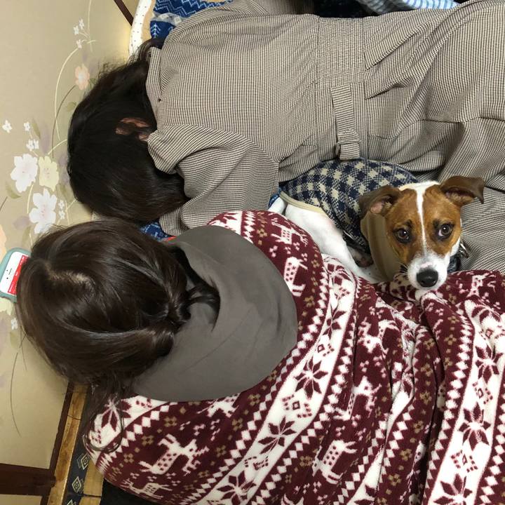 C3b8b0f9 5b24 440c a5bc 6a412ff505a7 1544608909654