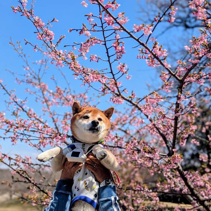 C3b8c6e4 e219 4b87 a893 12063cfe58ae 1773201403969