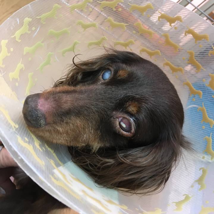 C3b8d7fc 8a82 49e4 9edc 6ca31738800b 1578993239148