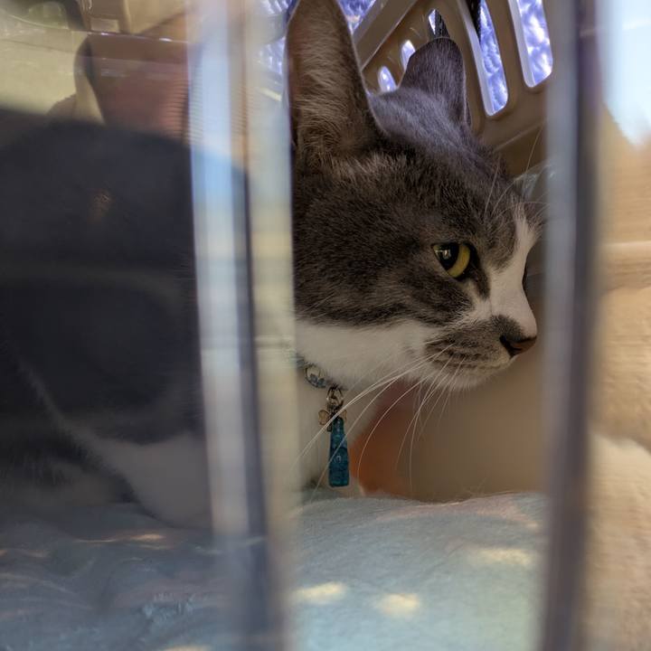 C3b92984 e05c 43d7 aaaf de332d760178 1764898942230