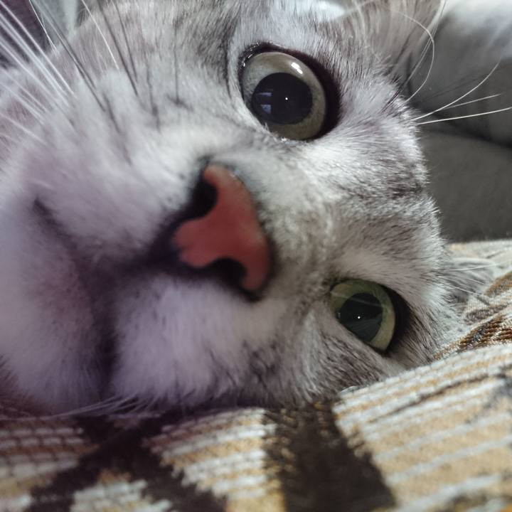 C3b93f24 4430 48a2 a117 e2f9a3f611a6 1544017740636