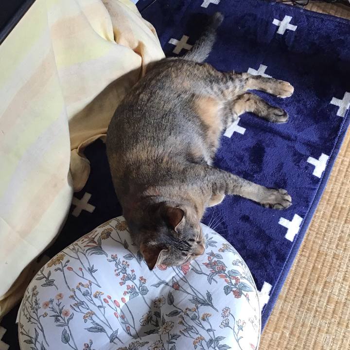 C3b94935 1c83 4858 9618 5699baa995e7 1706606153824