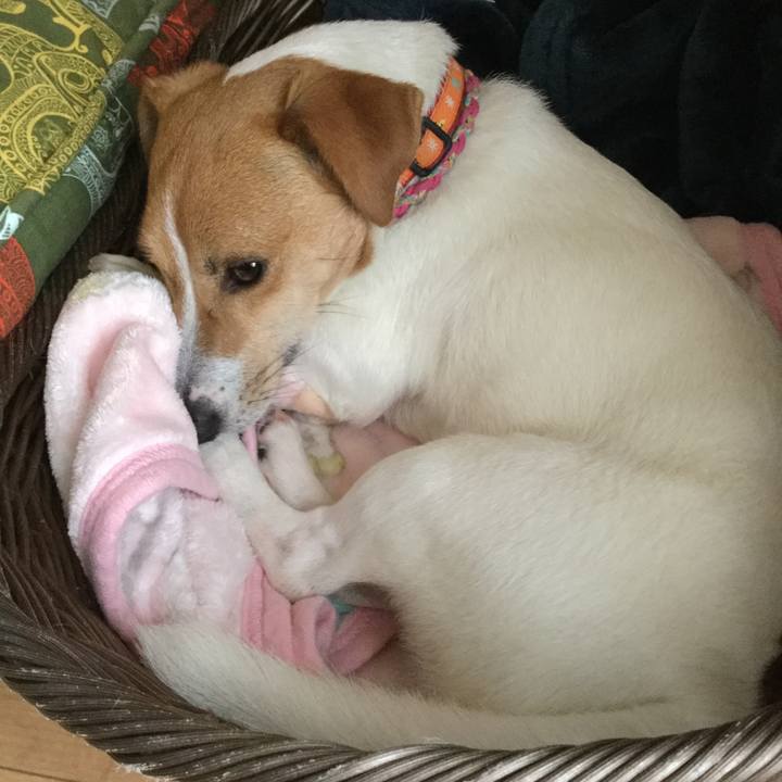 C3b980fe 35c1 4b81 a2c5 0b1107e9c9c6 1526689897021