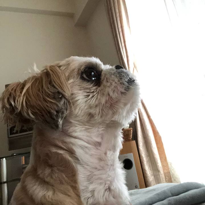 C3b9a6c1 7ddf 48a7 aa3e 801185b07806 1557697176479