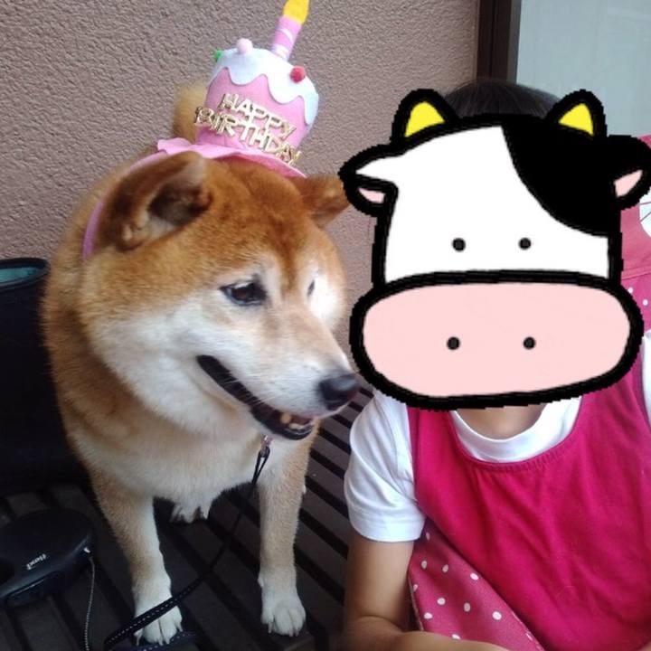 C3b9ad7c bfce 44fb 9988 7d38feb3b7ef 1628814460834