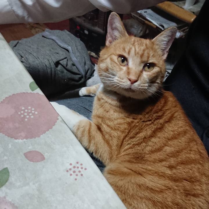 C3b9d4a4 f07c 4631 bc5f 712a45fe5937 1576748022012