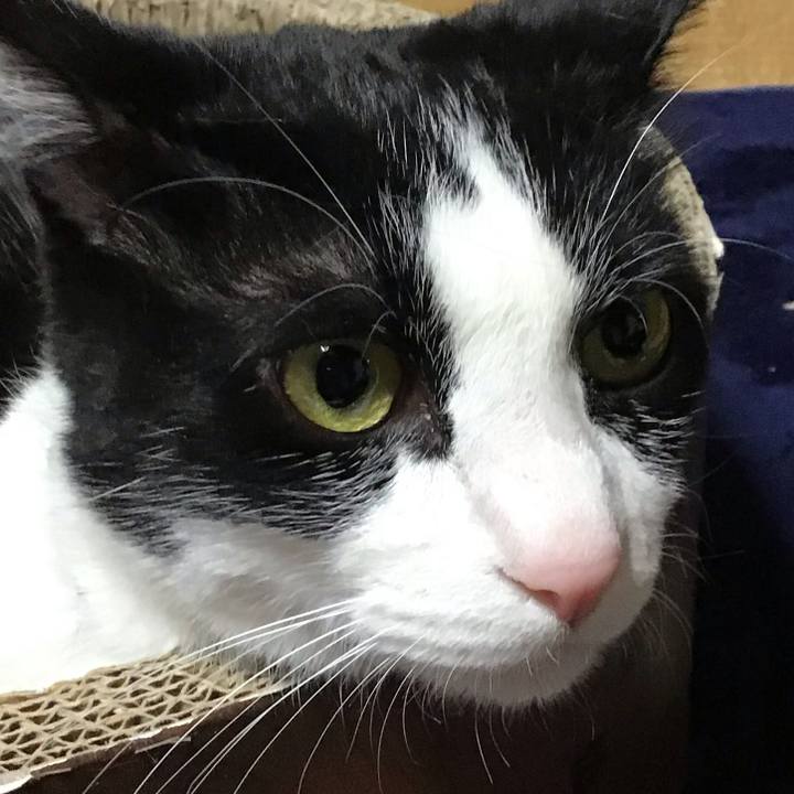 C3b9e9db c2b6 4ae8 969a 6946b7eea863 1714225768387