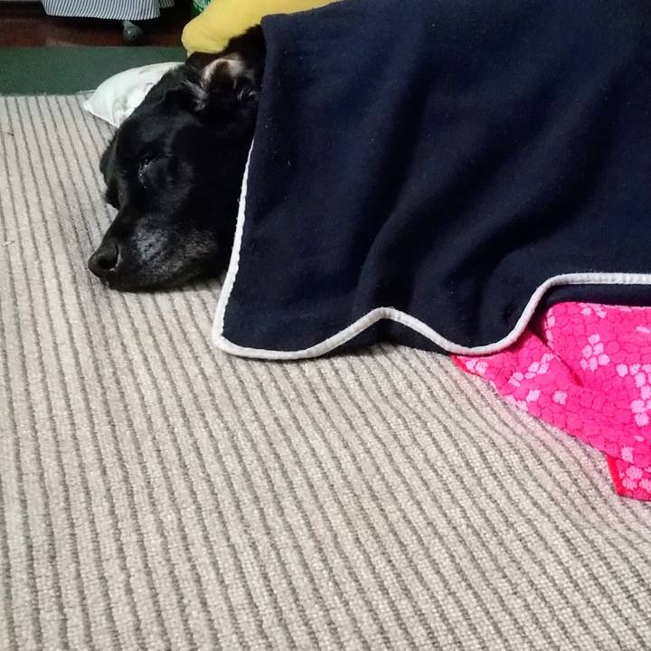 C3ba0dd6 8bc3 4d55 bb04 5830f1f1e381 1717486382505