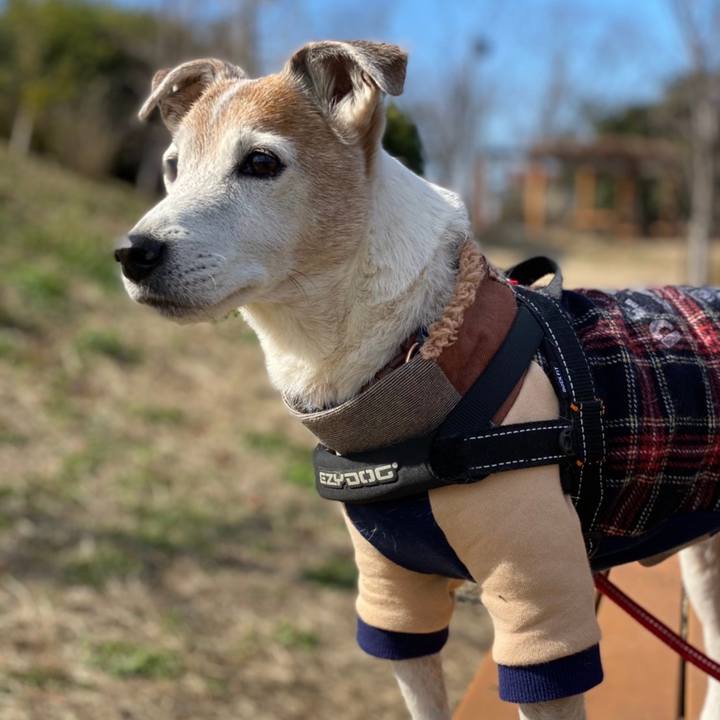 C3ba1cfe 97aa 4c05 b0fd 670d024a1aeb 1611996611347