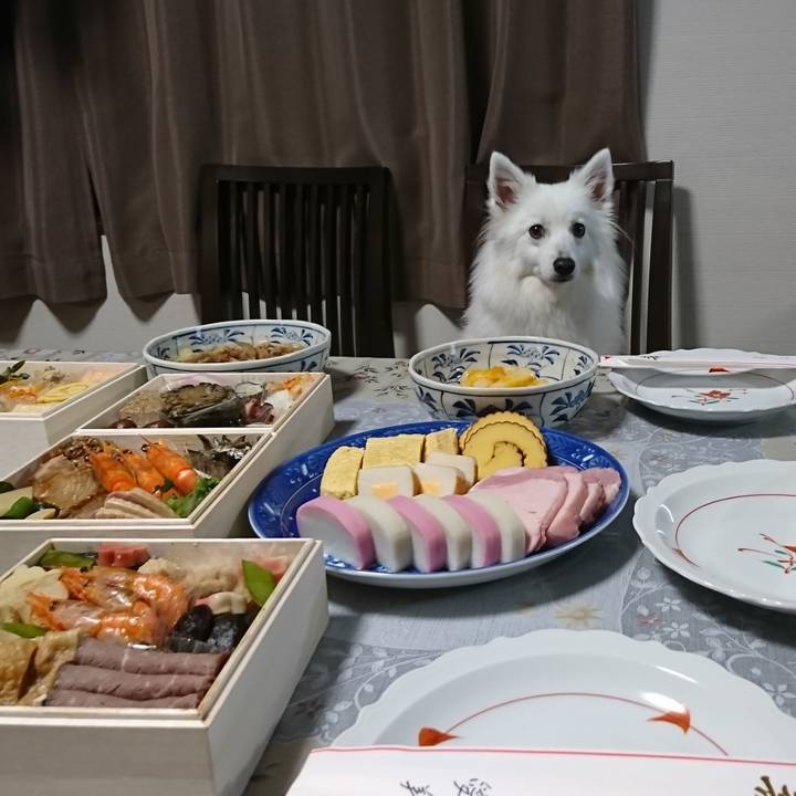 C3ba2378 f35c 447d 96c2 668e67d2e7d1 1546301800561